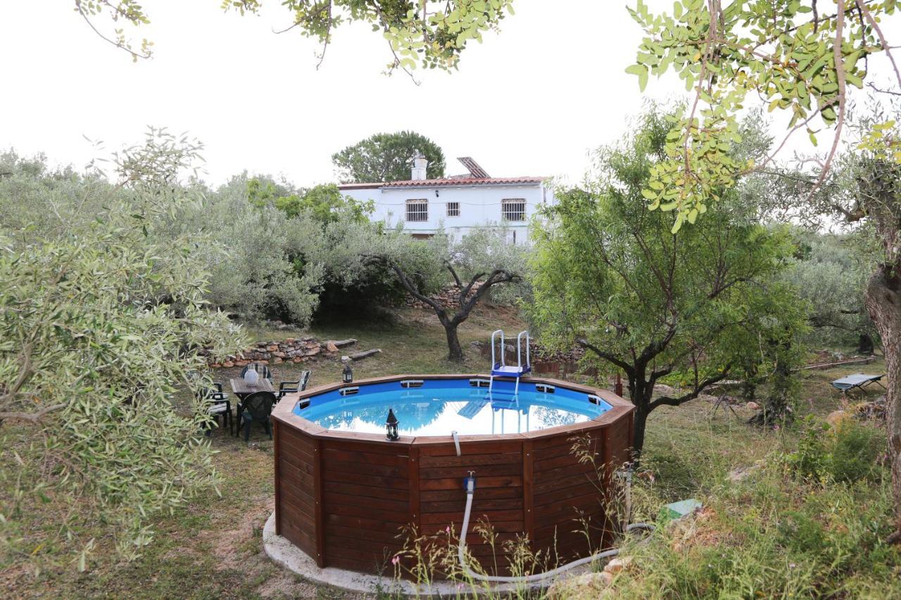 Yurta Mongola Delta Del Ebro Hotel Camarles Exterior photo