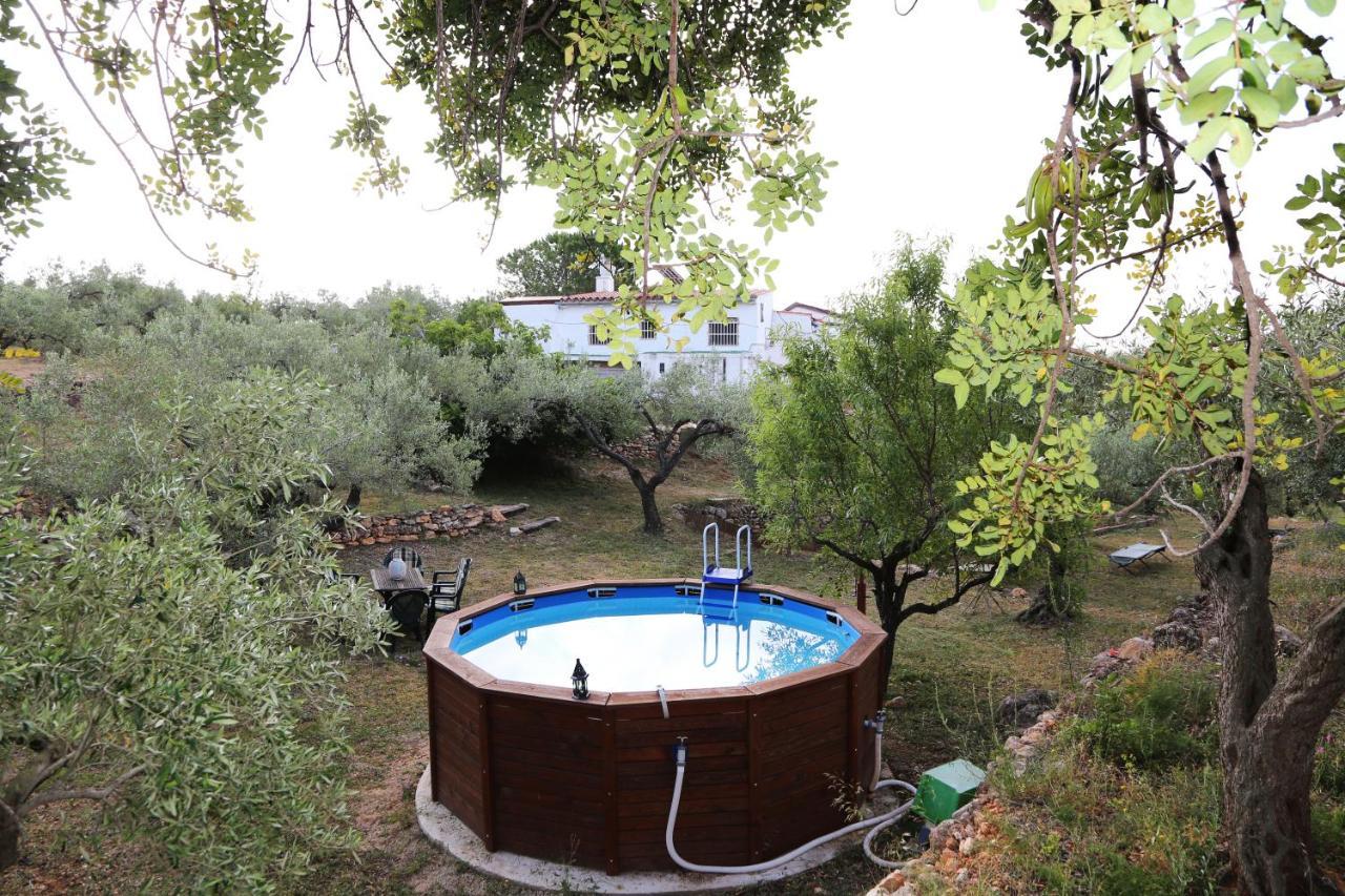 Yurta Mongola Delta Del Ebro Hotel Camarles Exterior photo