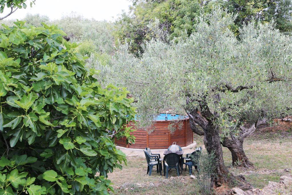 Yurta Mongola Delta Del Ebro Hotel Camarles Exterior photo