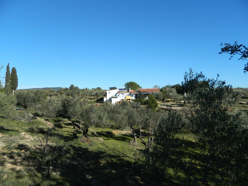 Yurta Mongola Delta Del Ebro Hotel Camarles Exterior photo