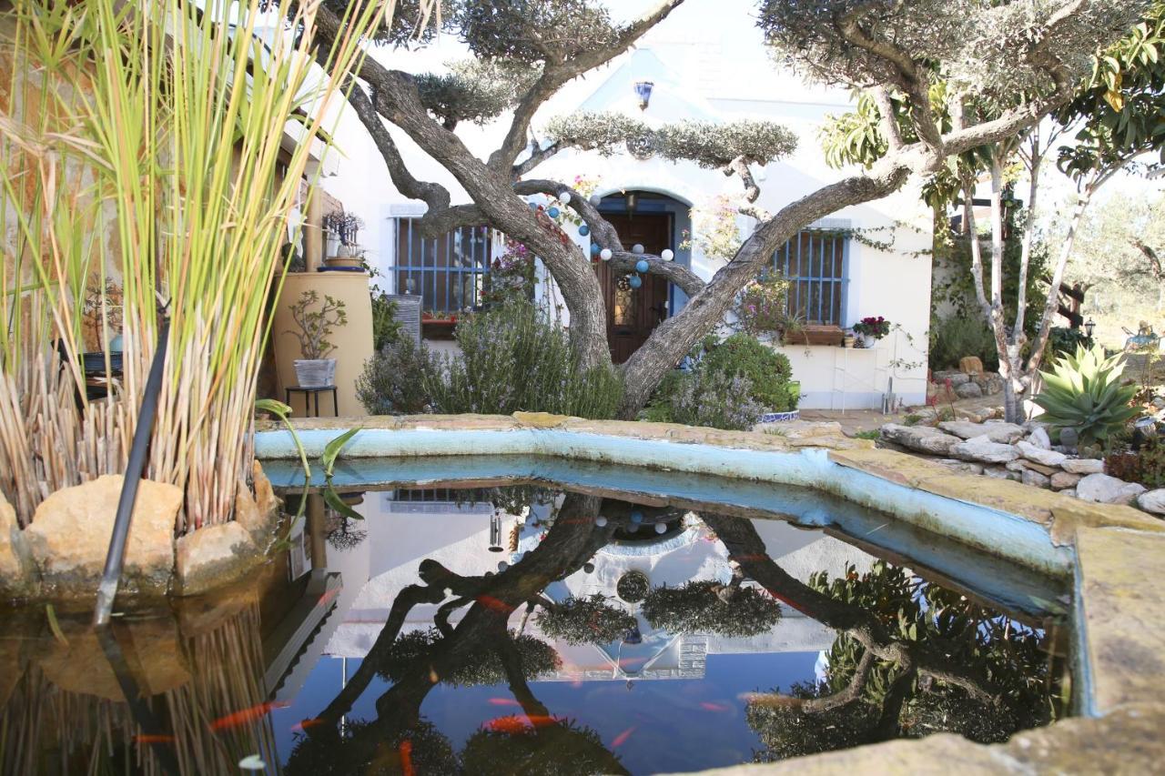 Yurta Mongola Delta Del Ebro Hotel Camarles Exterior photo